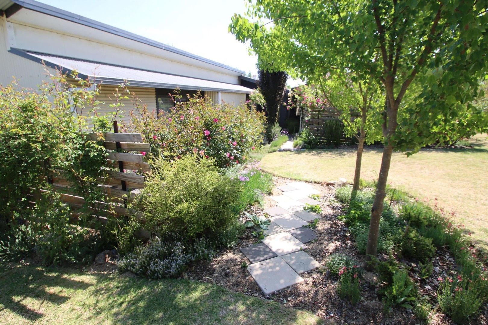 141 Bulwer Street, Tenterfield NSW 2372, Image 0