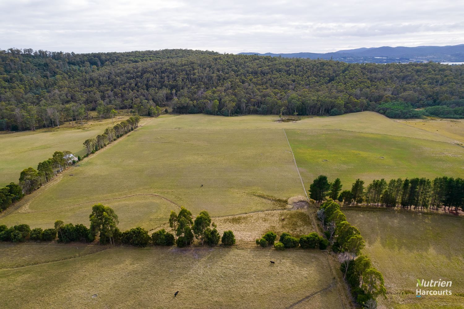 . West Tamar Highway, Loira TAS 7275, Image 1