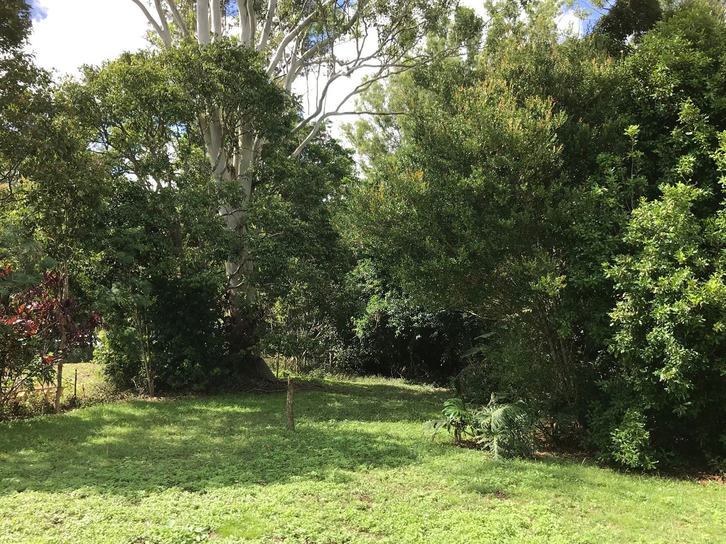 Atherton QLD 4883, Image 1