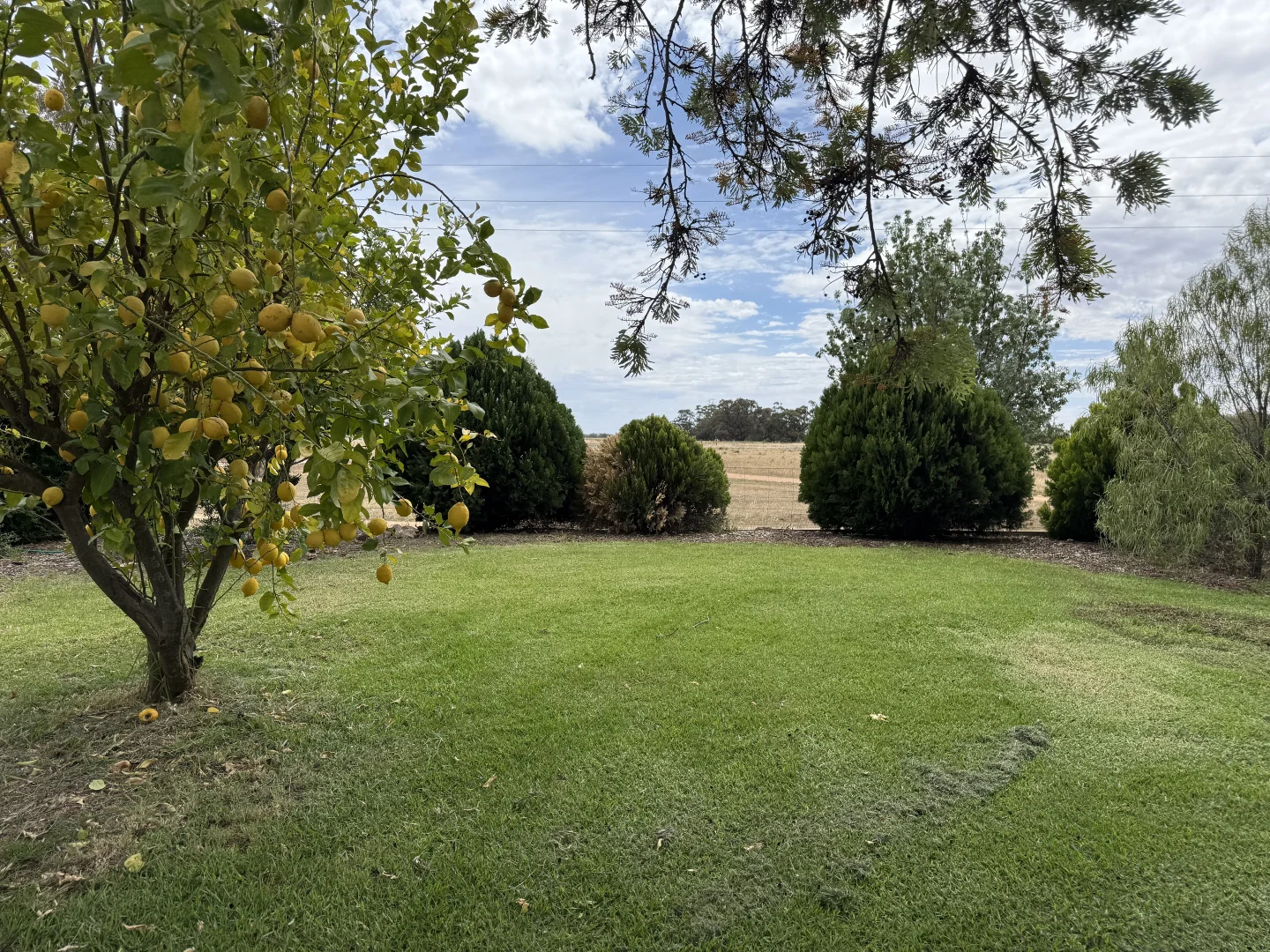 Additional image 14 of Killarney/725 Pretty Pine Road, Deniliquin NSW 2710