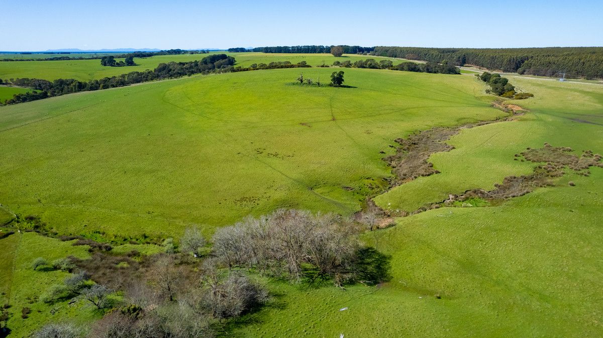 8 MerinoGrassdale Road, Grassdale VIC 3302 House for Sale Domain