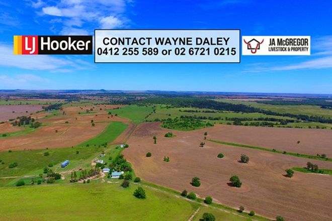 Picture of 6805 Warialda Road, YETMAN NSW 2410