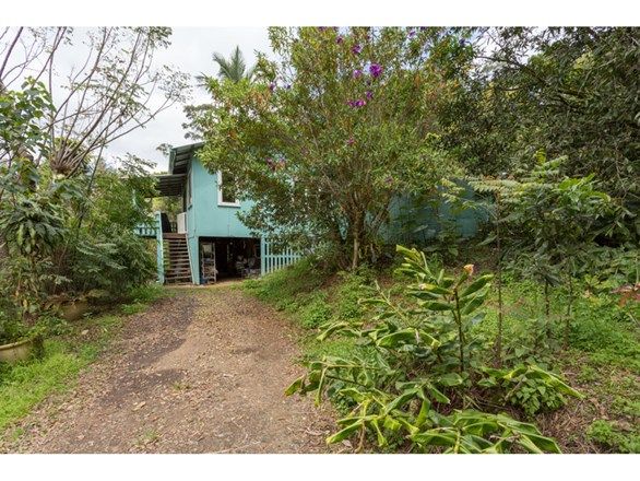 Picture of 266 Rose Road, TUNTABLE CREEK NSW 2480