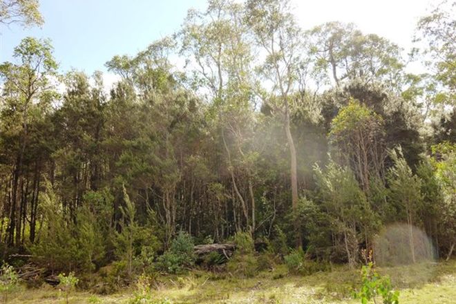 Picture of . Cradle Mountain Road, MOINA TAS 7310