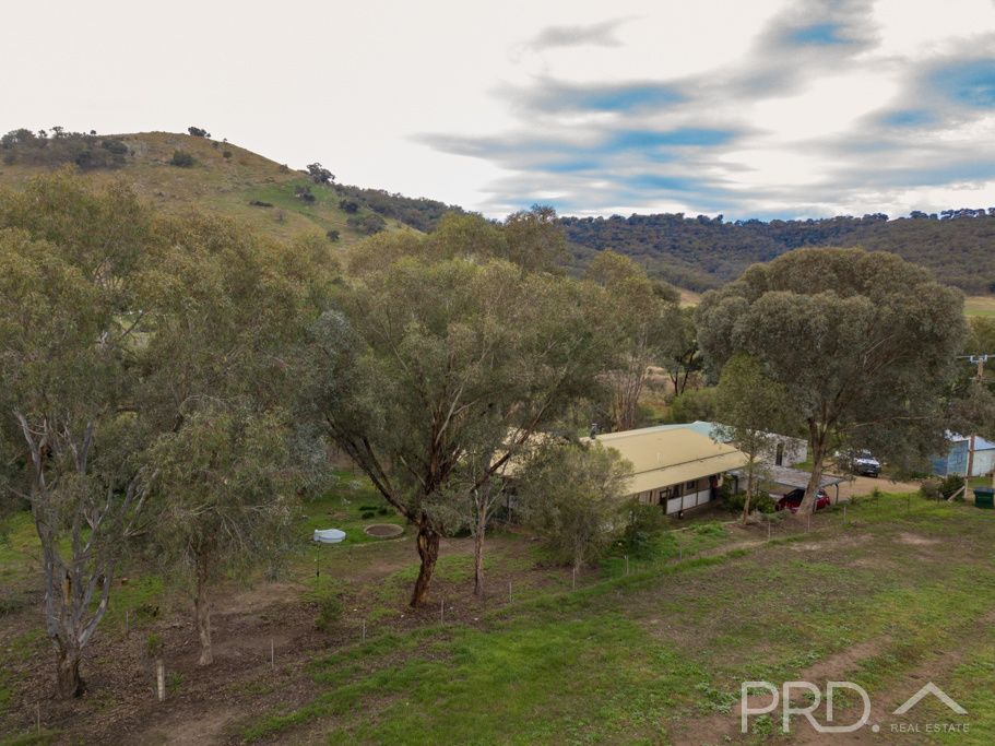 532 Grahamstown Road, Adelong NSW 2729, Image 1