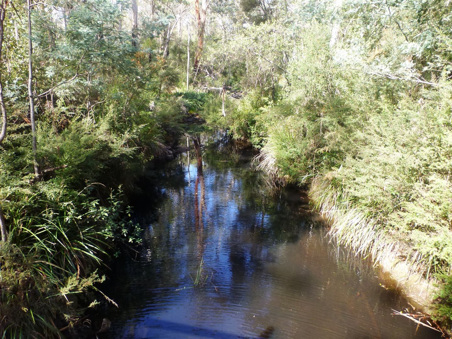 Lot 1 Tattersalls Road, Beaconsfield TAS 7270, Image 0