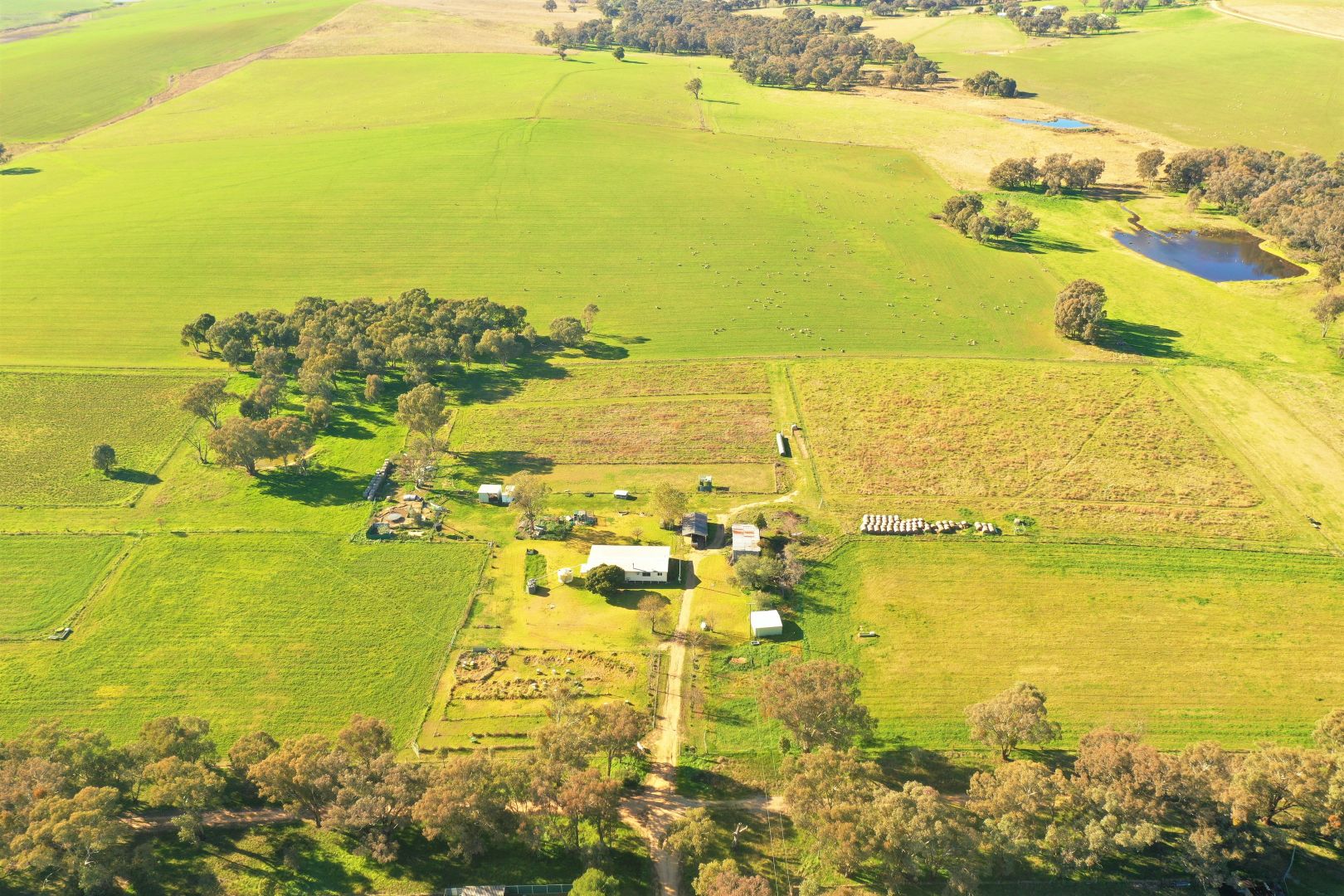 38 Fowler Street, Monteagle Via, Young NSW 2594, Image 1