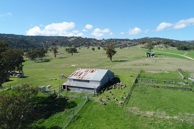 Picture of 924a Kildare Road, TENTERFIELD NSW 2372