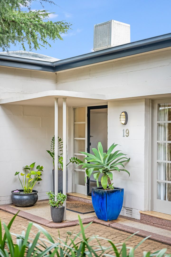 19 Devereux Road, Linden Park SA 5065, Image 1