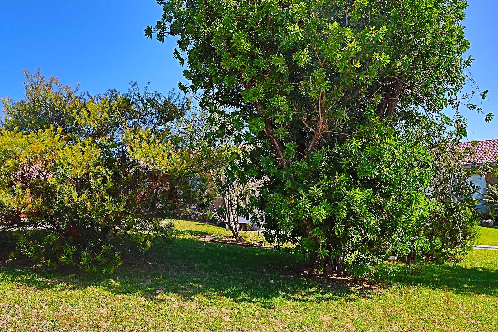 Image 15