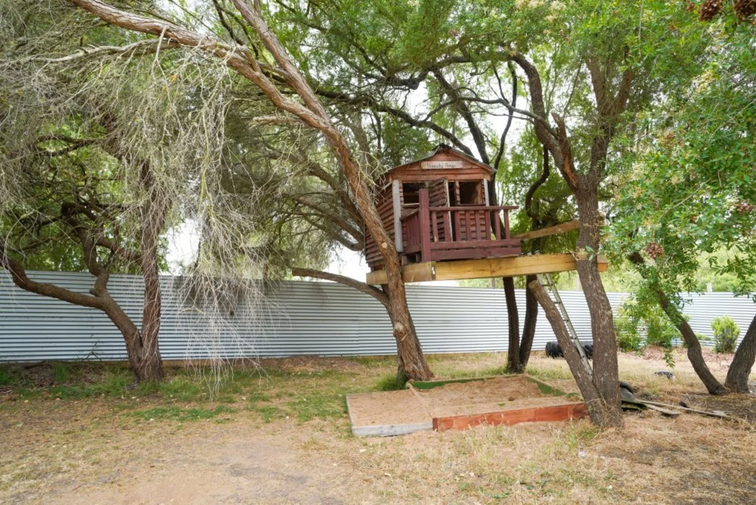 Image 5