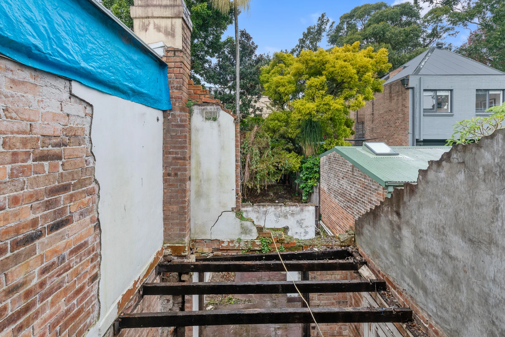 Image 13