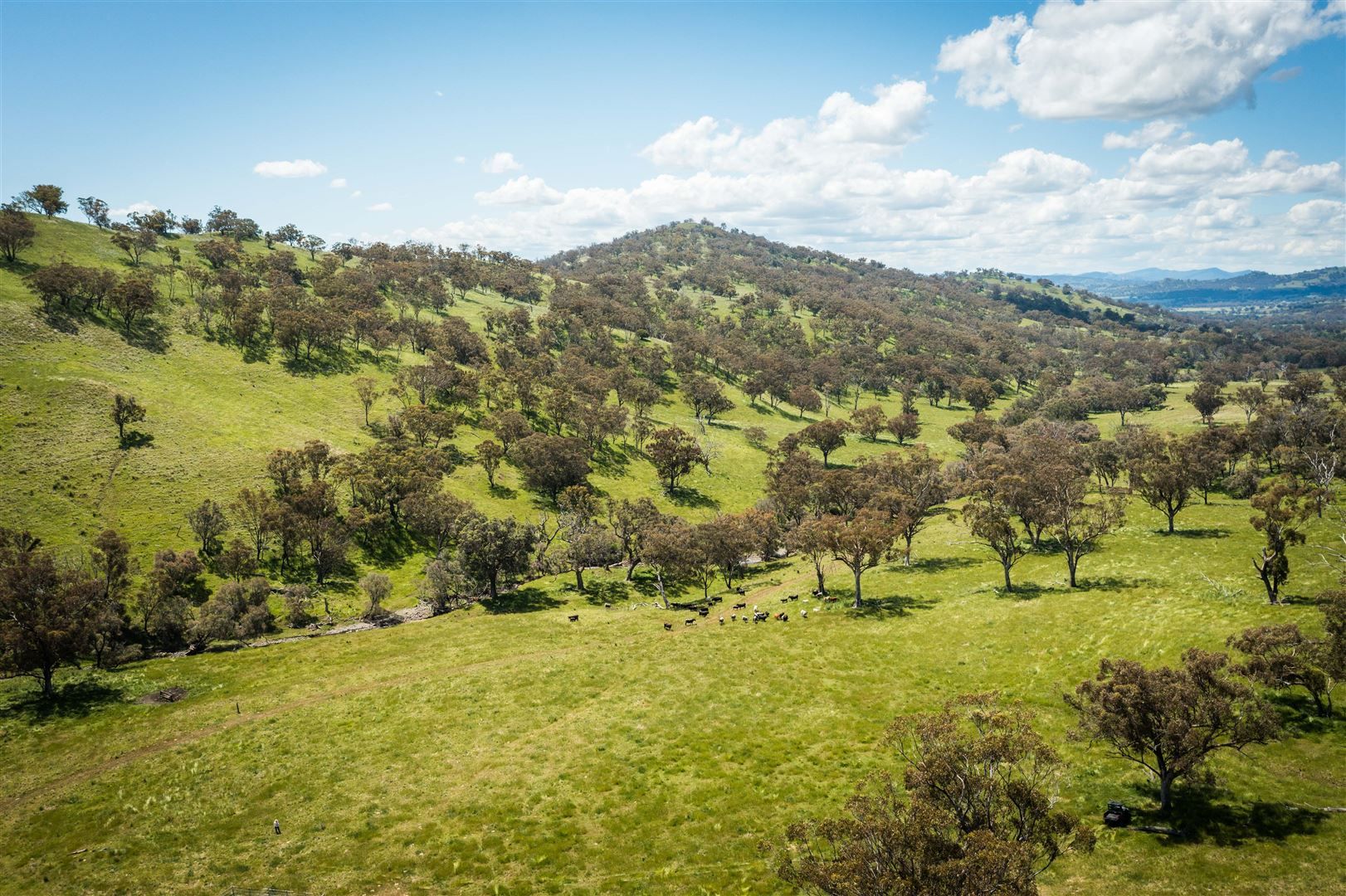 'Warrahdale' 413 Presses Road, Willow Tree NSW 2339, Image 1