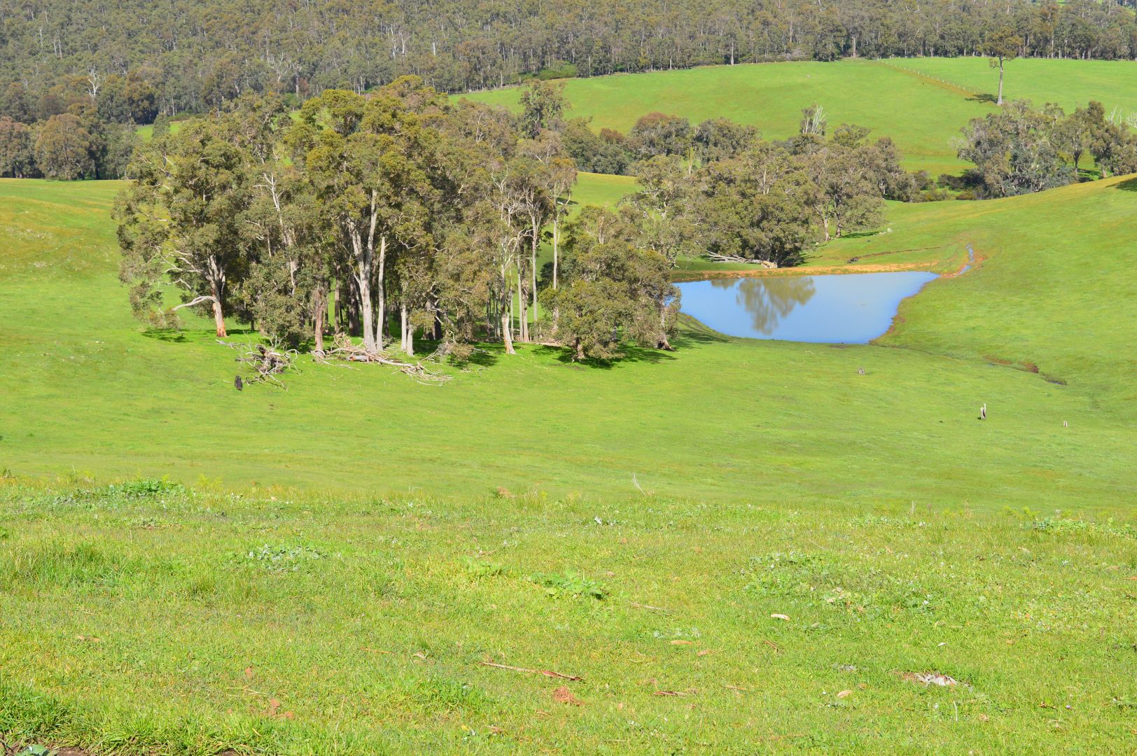 Lot 3 NIEUWENHUYZE ROAD, Kirup WA 6251, Image 1