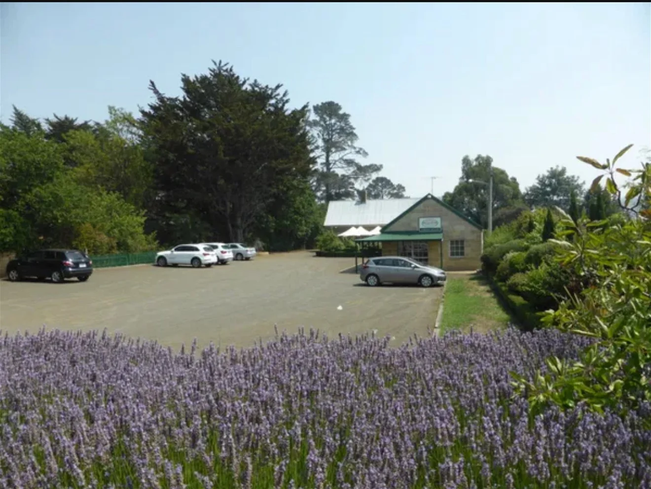 Image 10