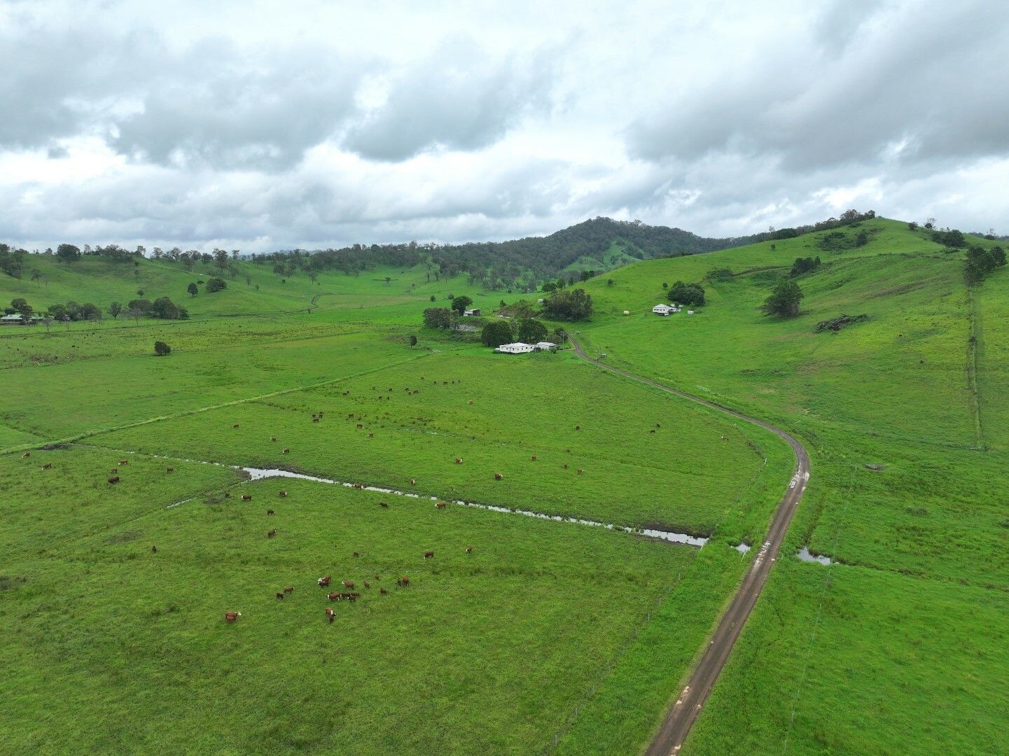 6 bedrooms Rural in 611 Collins Creek Road KYOGLE NSW, 2474