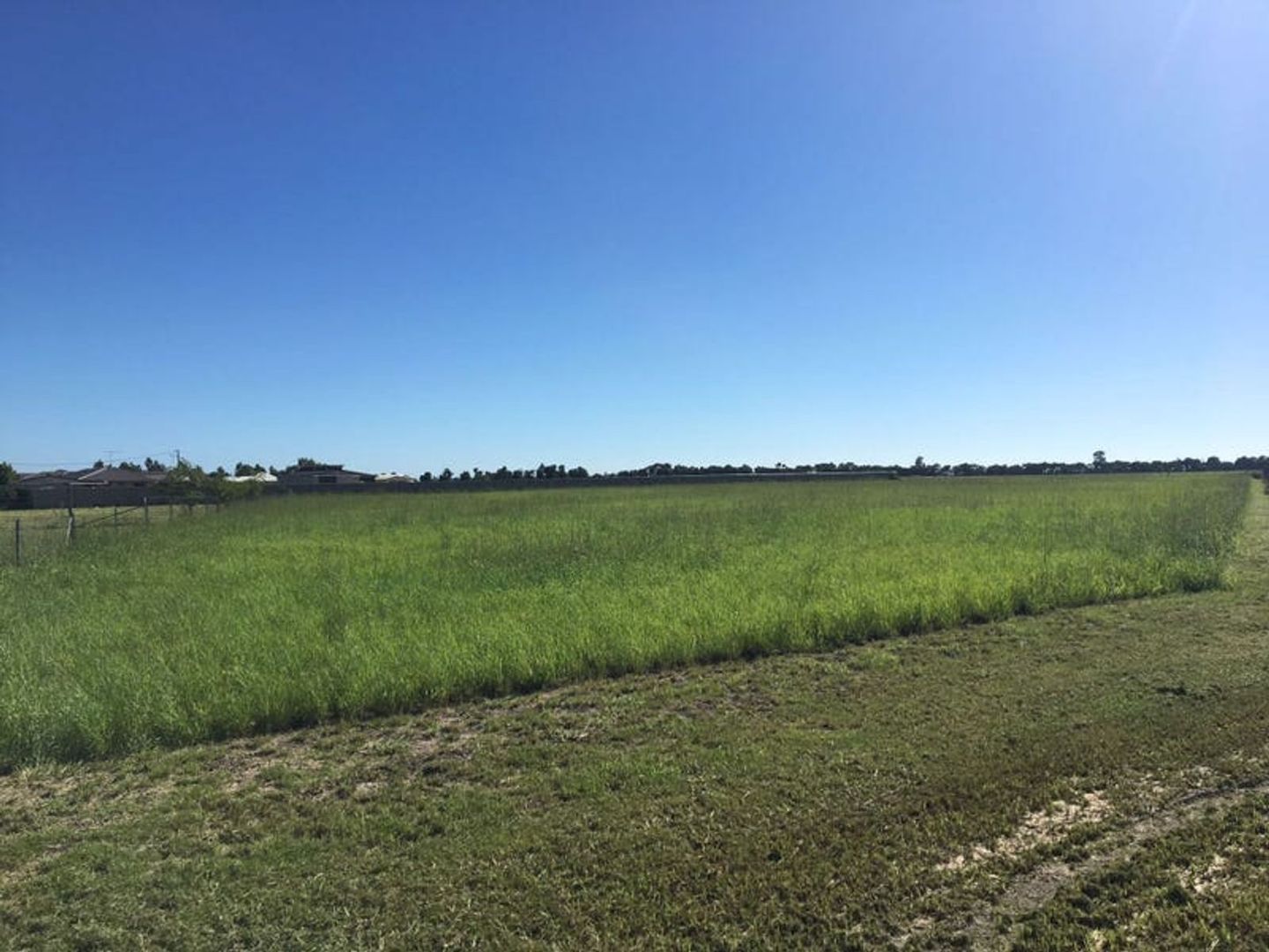 Lot 37 Lot 37 Fischer Court, Chinchilla QLD 4413, Image 1