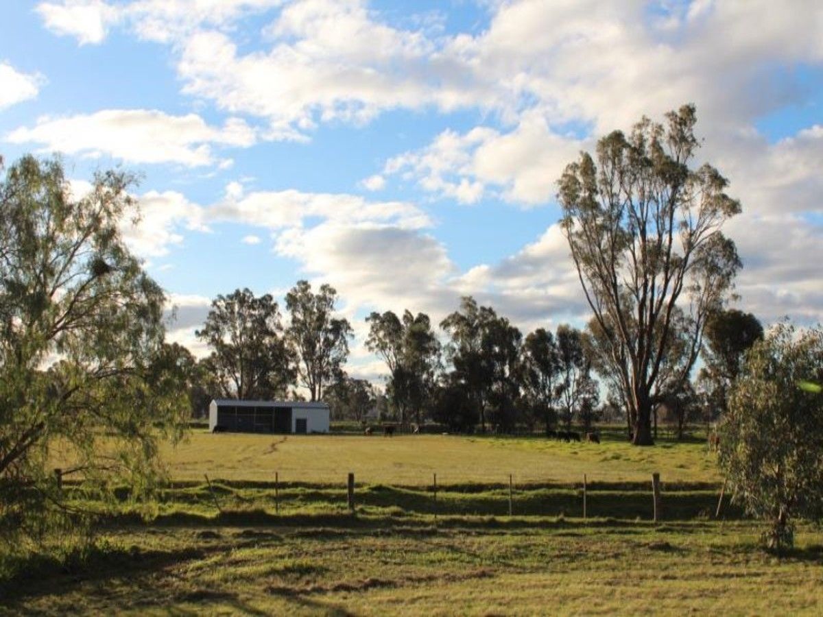 2197 Kerang Koondrook Road, Koondrook VIC 3580 Vacant Land for Sale