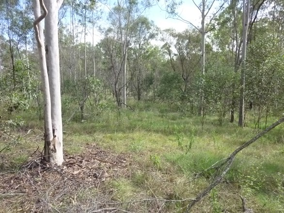 Lot 1 Rows Road, Duingal QLD 4671