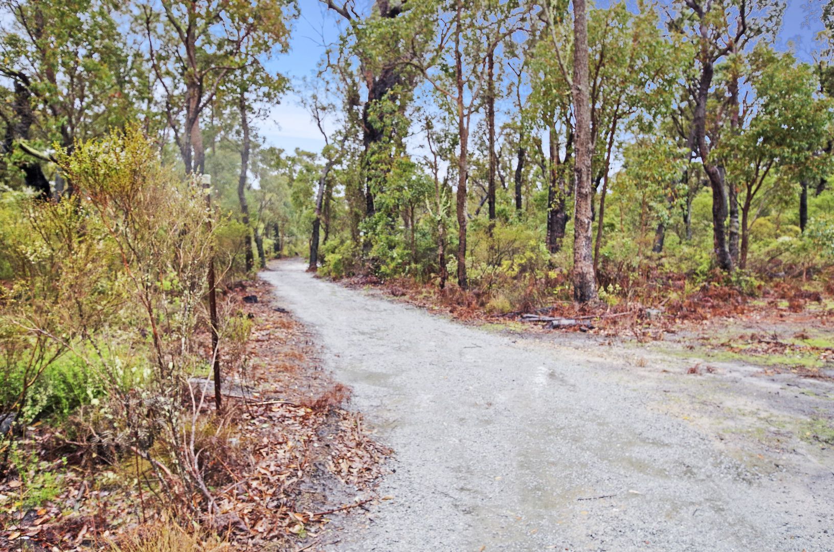 Lot 815 Stoney Creek Road, Porongurup WA 6324, Image 1