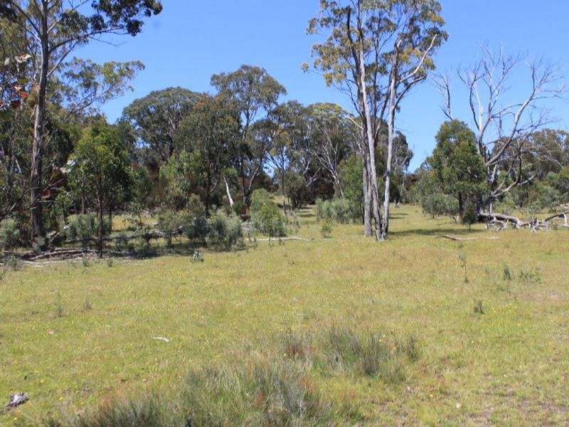 Lot 1 Catarrh Creek Road, Torrington NSW 2371, Image 0