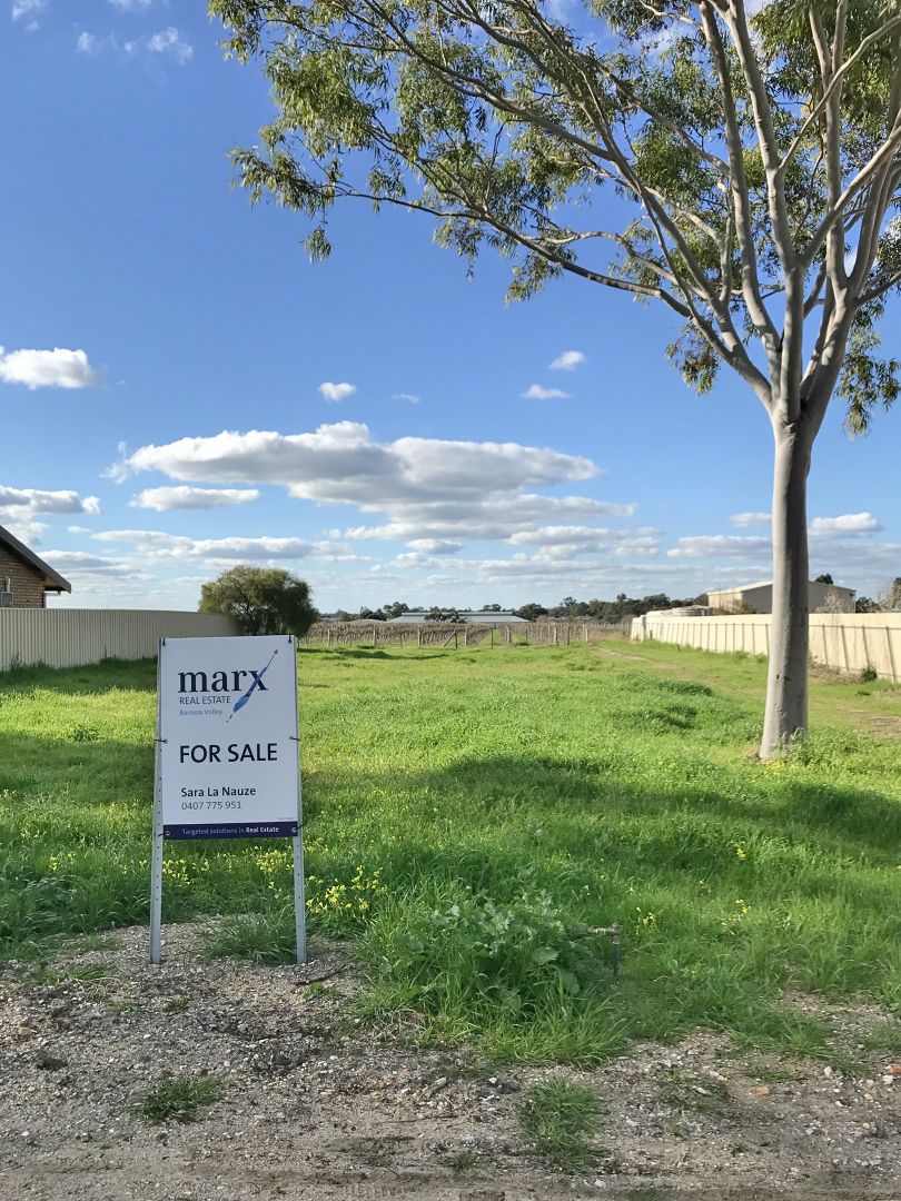 Allotment 3 92 Basedow Road, Tanunda SA 5352, Image 2