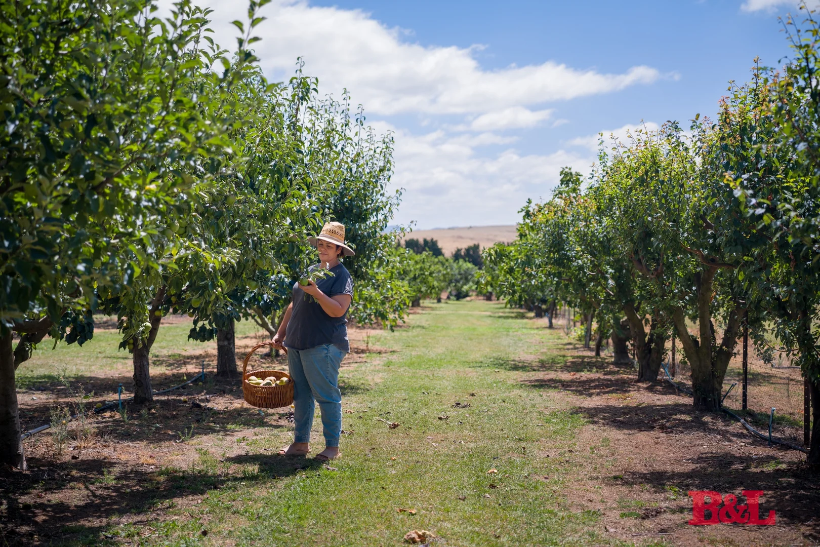 Additional image 32 of 7 Melrose Drive, Raglan NSW 2795