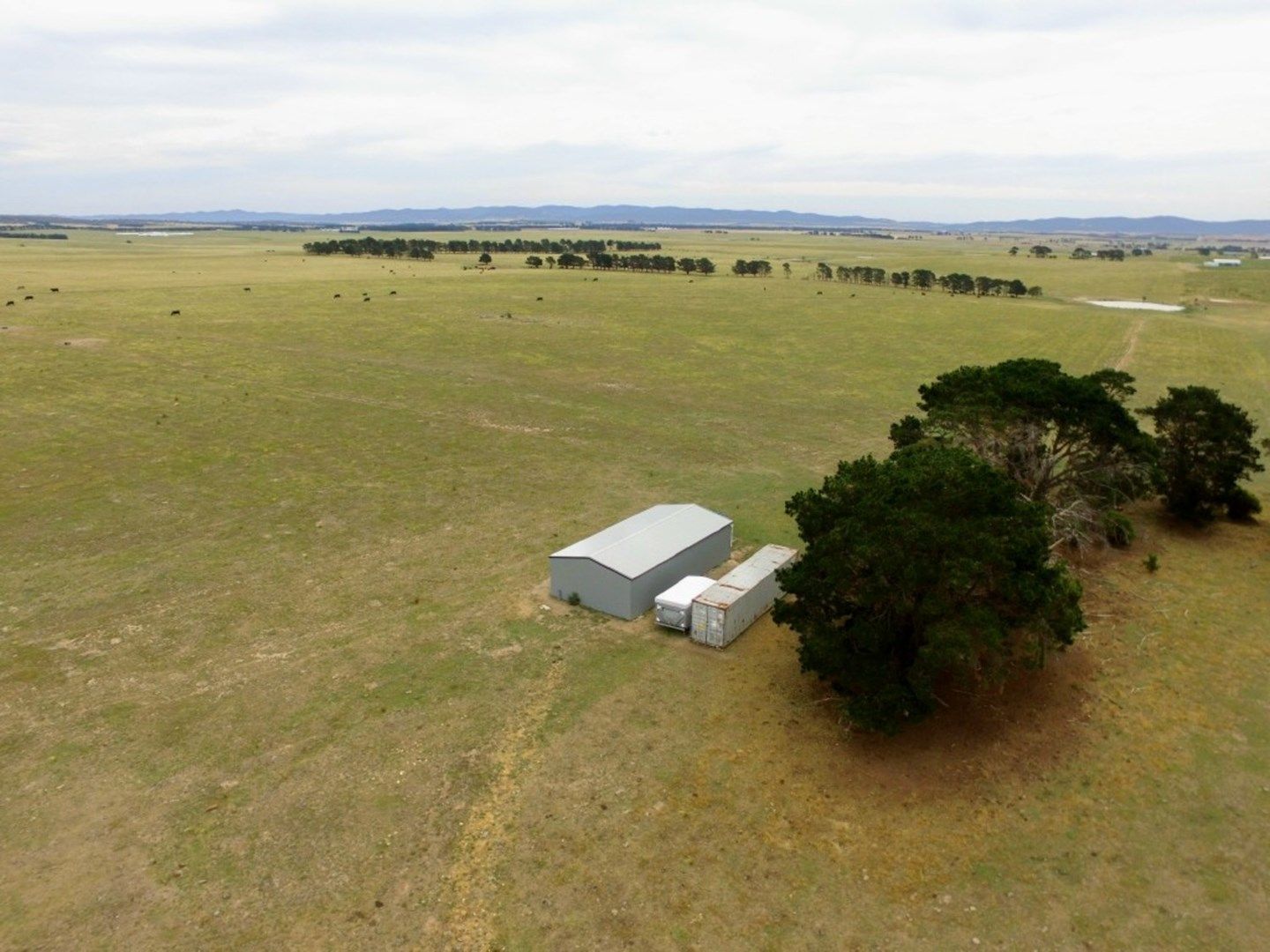 1440 Windellama Road, Goulburn NSW 2580, Image 0