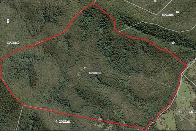 Picture of Lot 1 DP780809 Washpool Creek Road, BOORAL NSW 2425