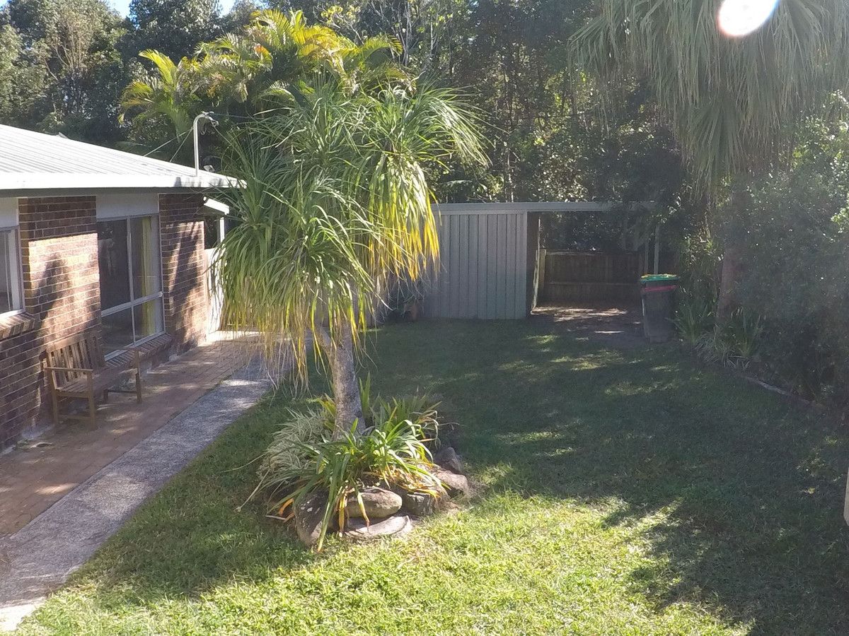 49 Azalea Street, Mullumbimby NSW 2482 House For Rent Domain