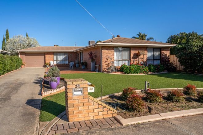 Picture of 24 Wilkins Grove, SWAN HILL VIC 3585