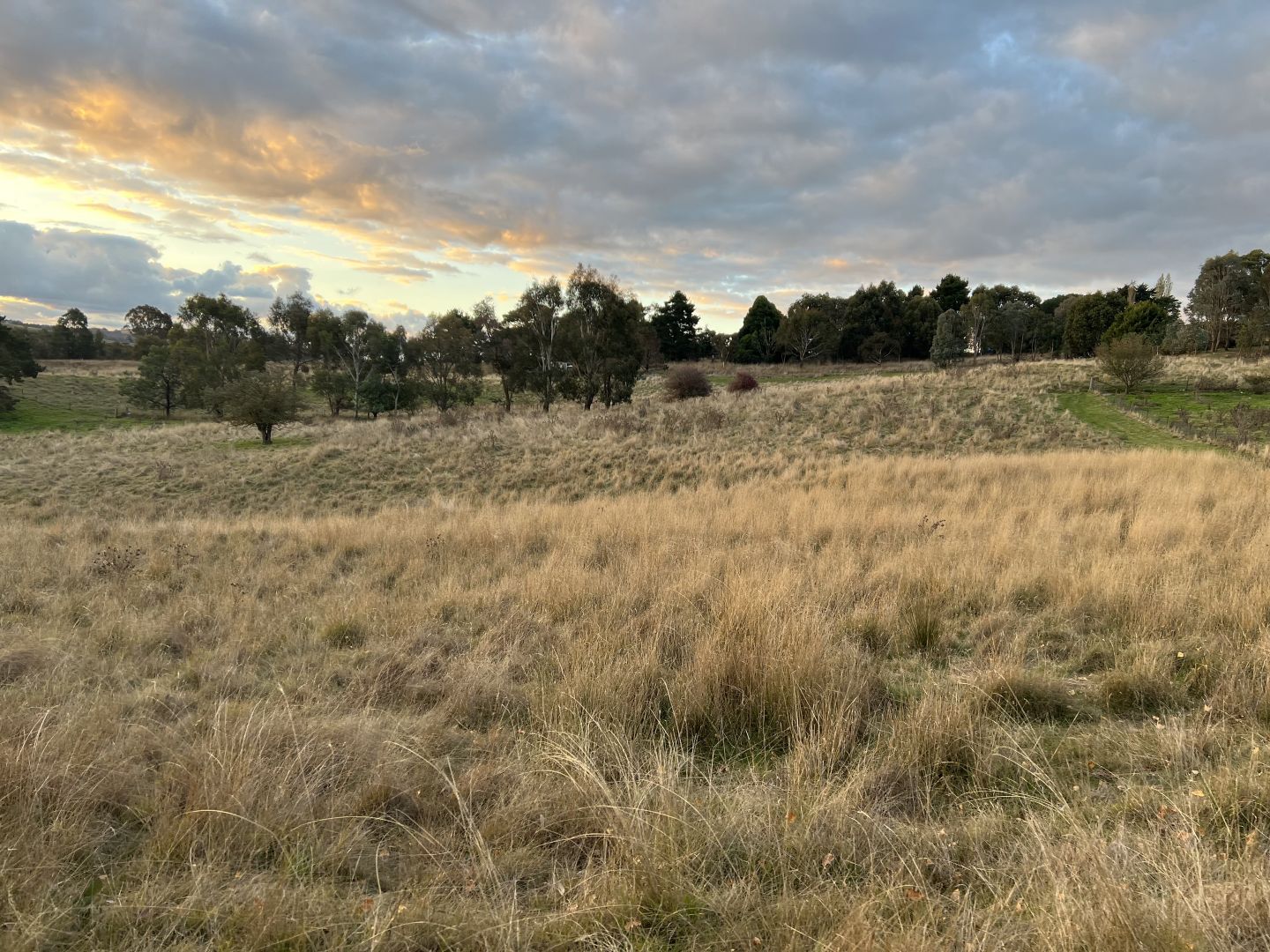 10 Rodd Street, Carcoar NSW 2791 Vacant Land for Sale Domain