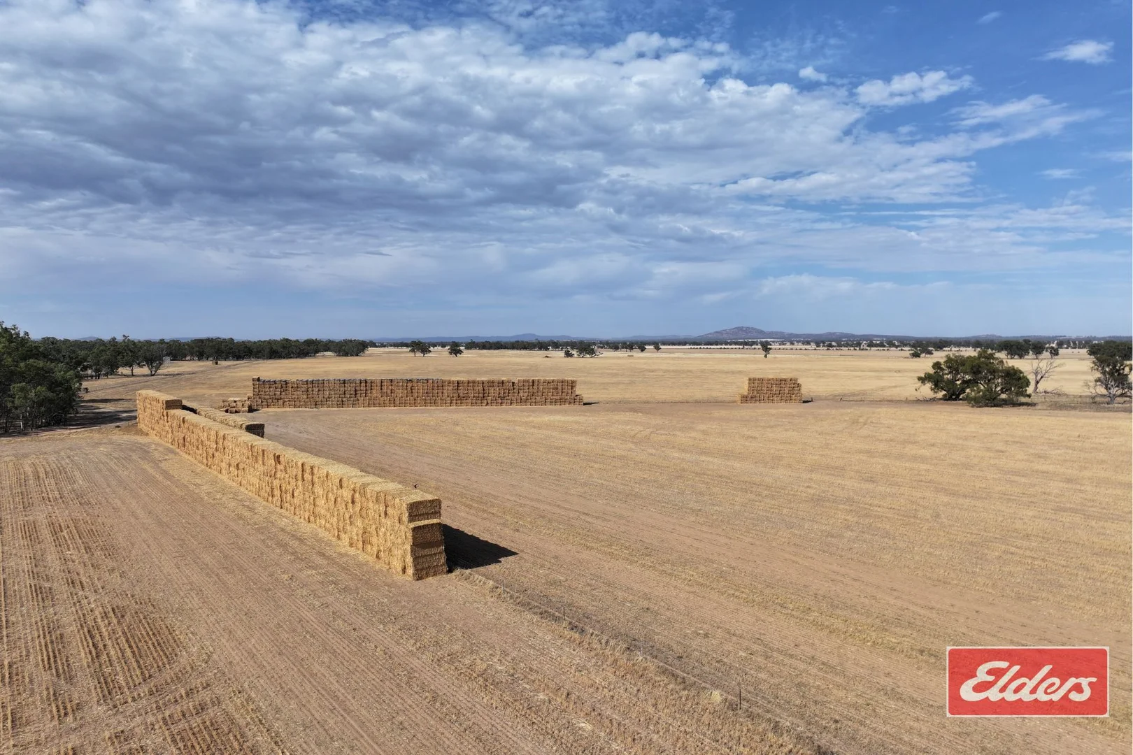 Image 15