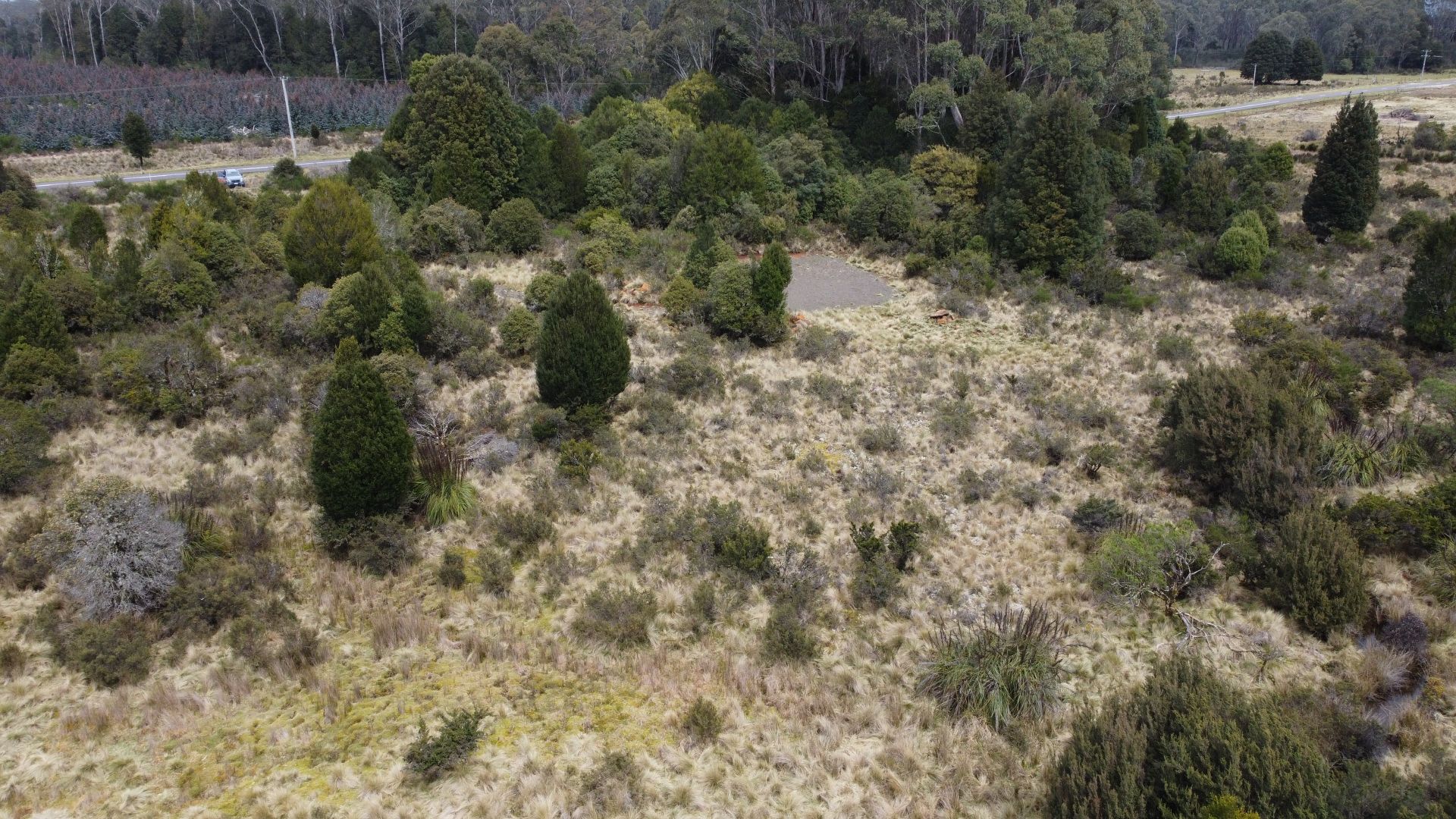 396 Waratah Road, Waratah TAS 7321 Vacant Land for Sale Domain