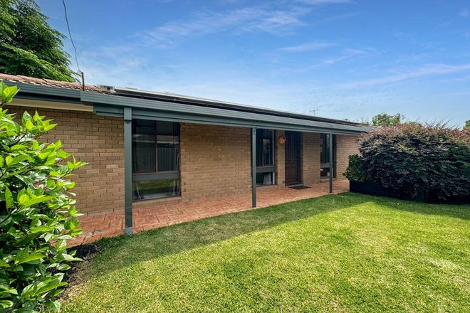Picture of 2/226 Henry Street, DENILIQUIN NSW 2710