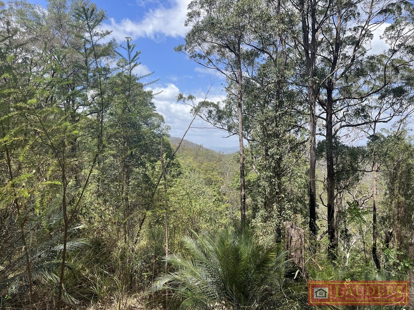 Connollys Creek Road, Mount George NSW 2424, Image 0