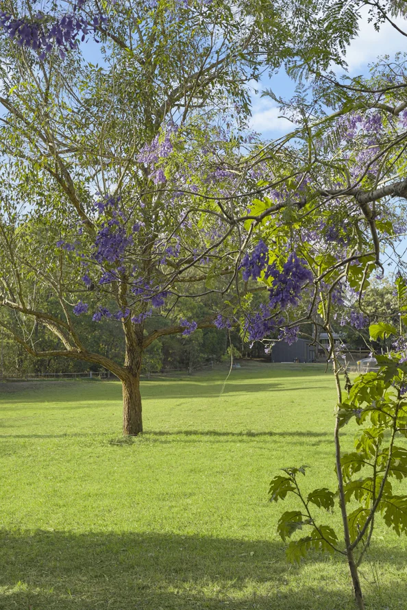 Image 30