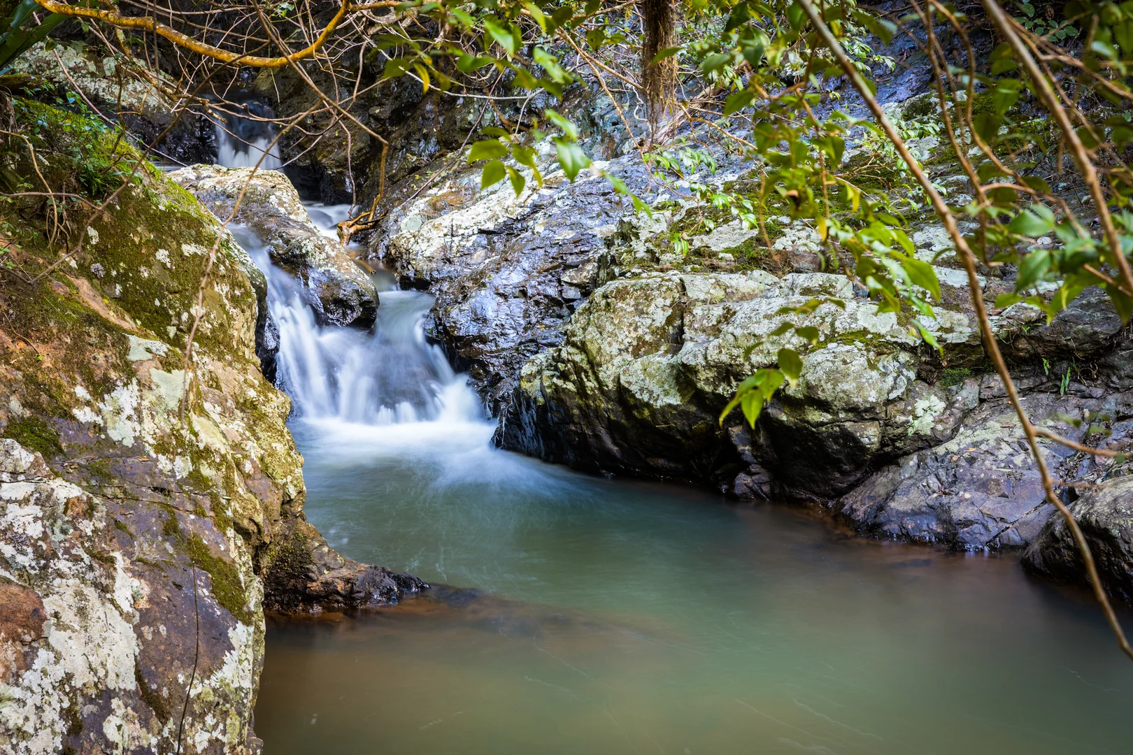 Additional image 15 of 480 Ponsfords Road, Comboyne NSW 2429