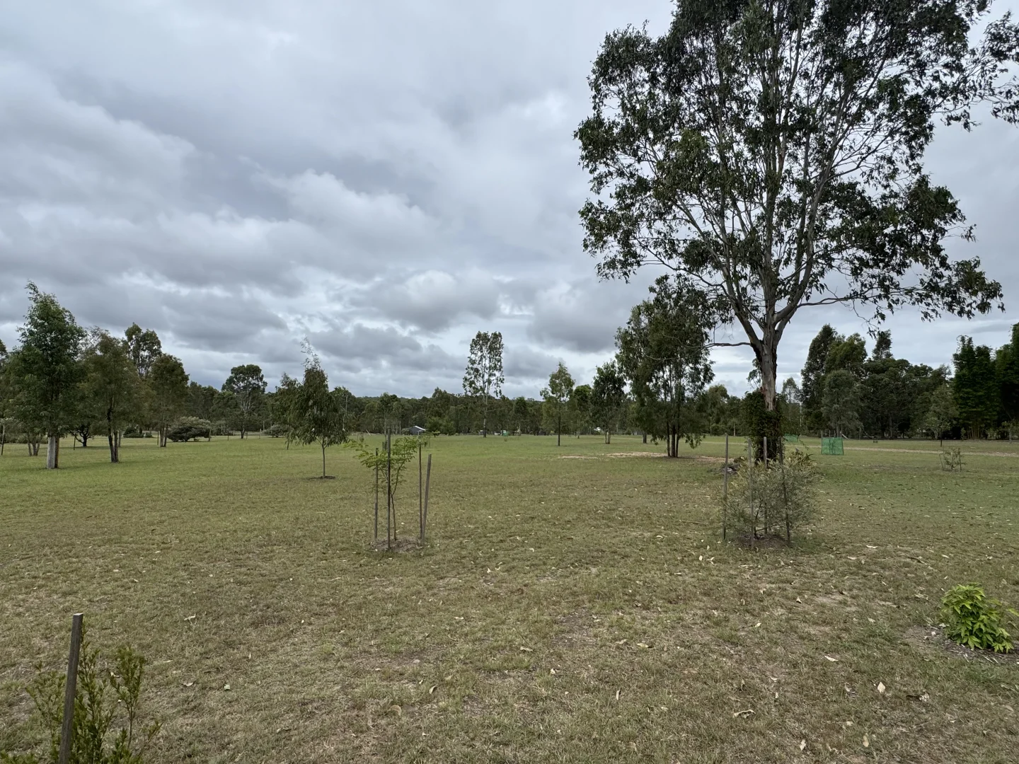 Image 26