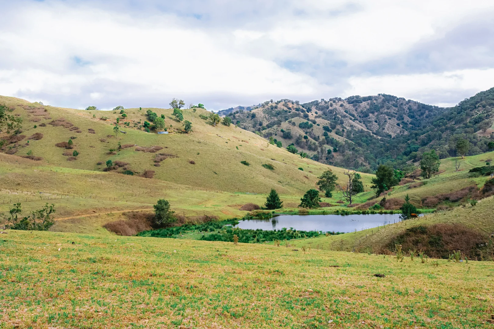 Additional image 20 of 1746 Stewarts Brook Rd, Stewarts Brook NSW 2337