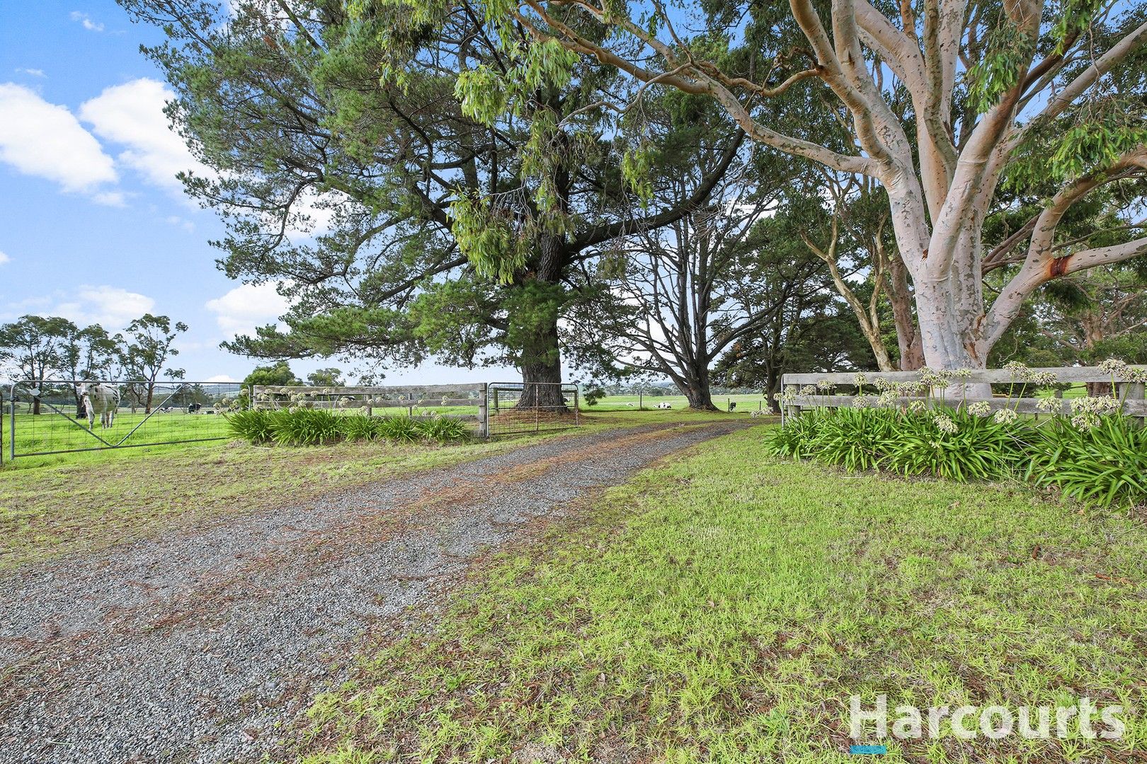 675 Yannathan Road, Nyora VIC 3987, Image 1