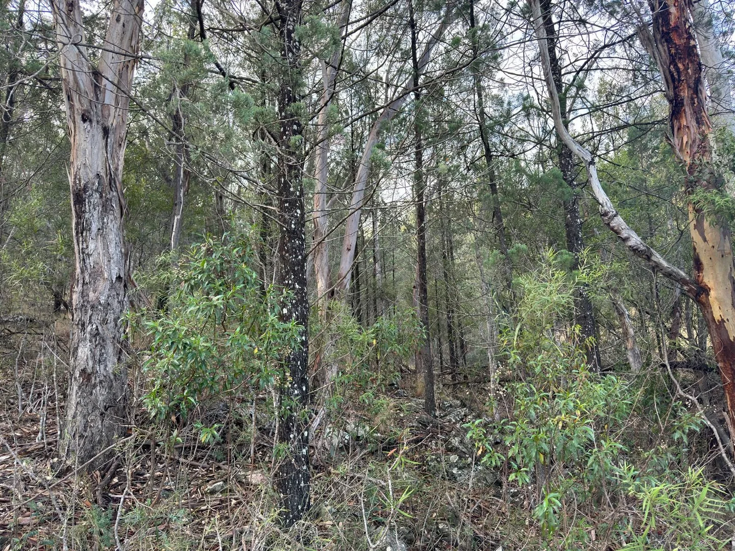 Image 11