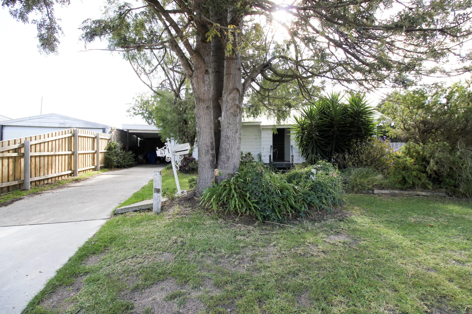 Image 19