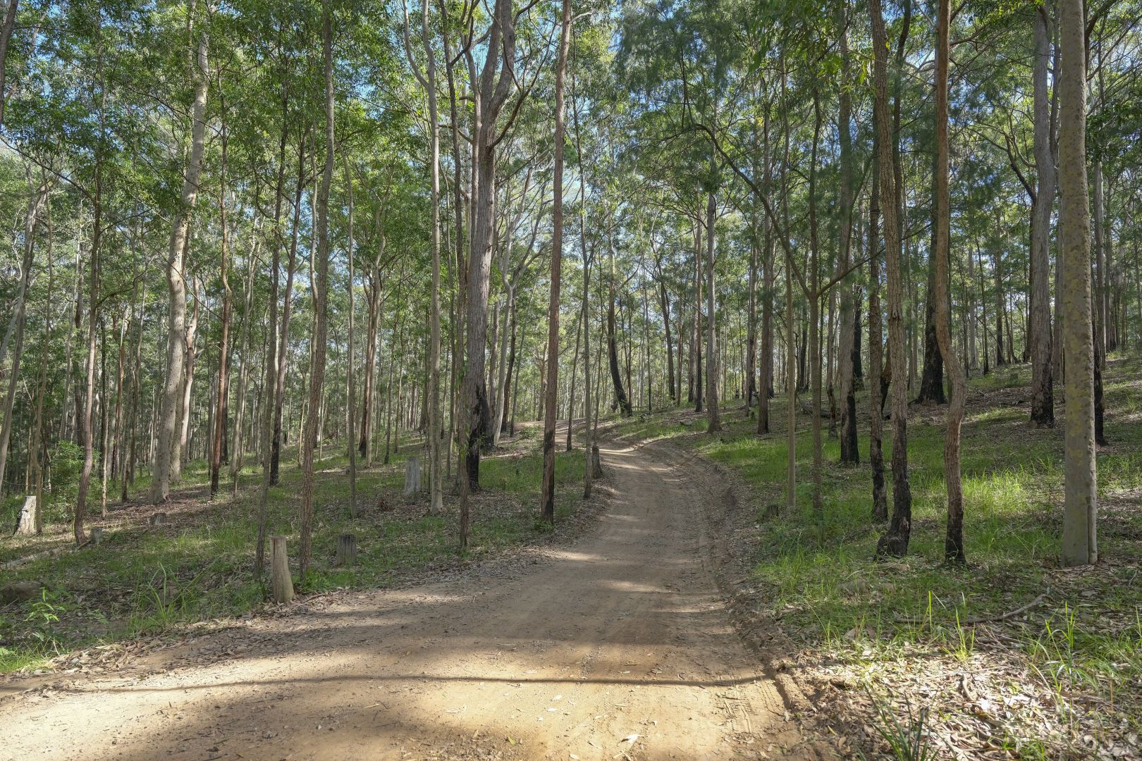 86 Cut Rock Forest Road, Mandalong NSW 2264, Image 1