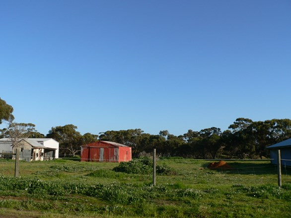 26 Bond Street, Katanning WA 6317