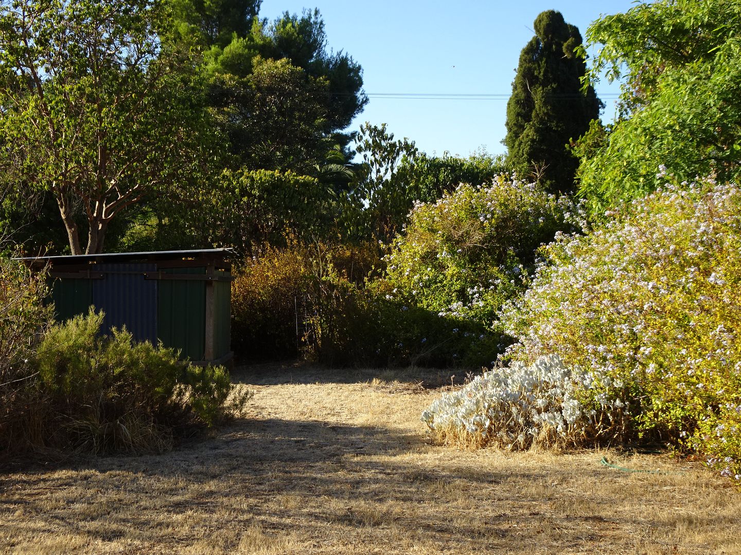 26 Homer Street, Narrogin WA 6312