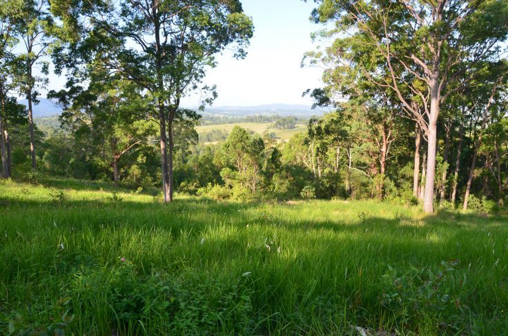 DOLLYS FLAT NSW 2429, Image 2