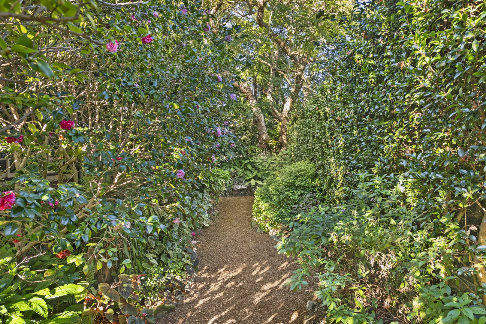 Image 19
