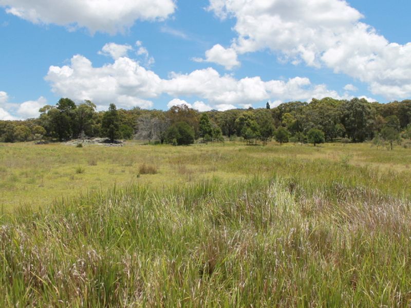 Lot 14 Catarrh Creek Road, Torrington NSW 2371, Image 1