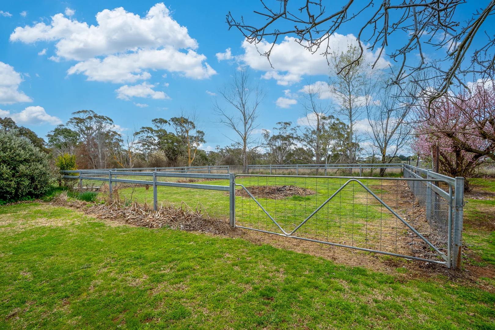 Additional image 33 of 584 Huntley Road, Huntley NSW 2800